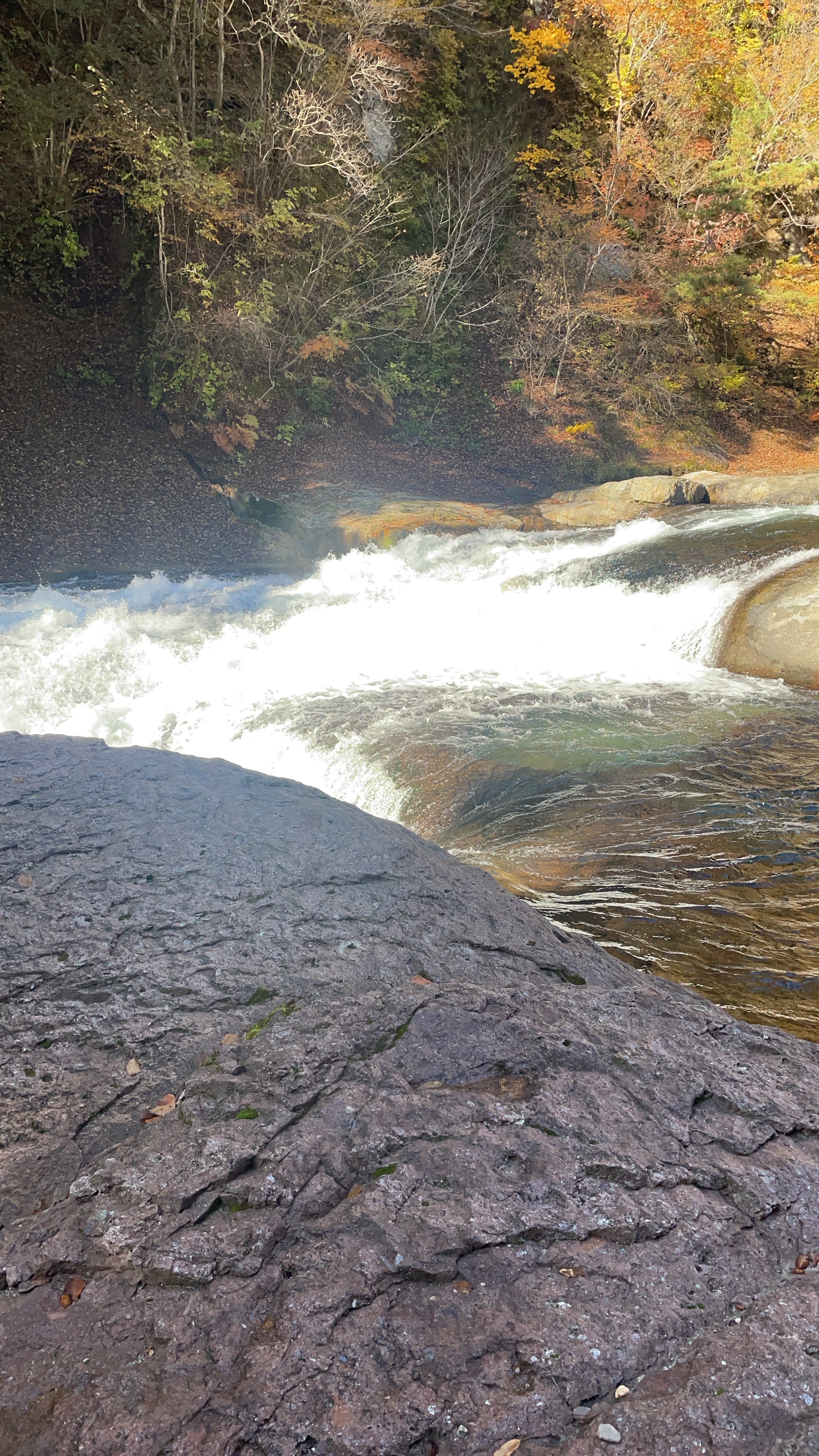 占い師神楽ままこのお気に入り写真2